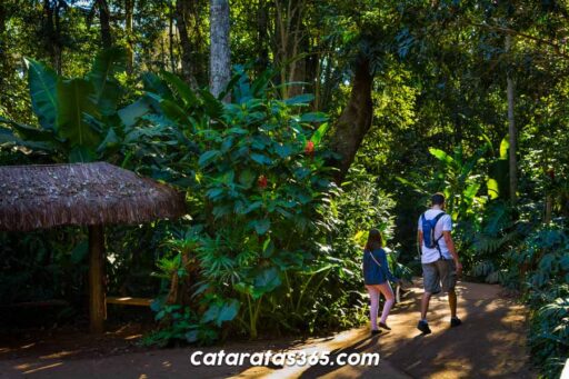 Parque de las Aves - Foz de Iguazú